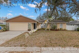 15103 Lake Holly Pl in Tampa, FL - Building Photo
