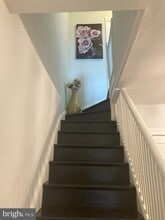 337 Kentucky Ave SE in Washington, DC - Building Photo - Building Photo