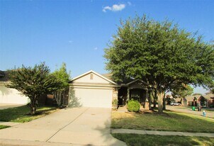 6402 Sweet Orchid Ln in Katy, TX - Building Photo