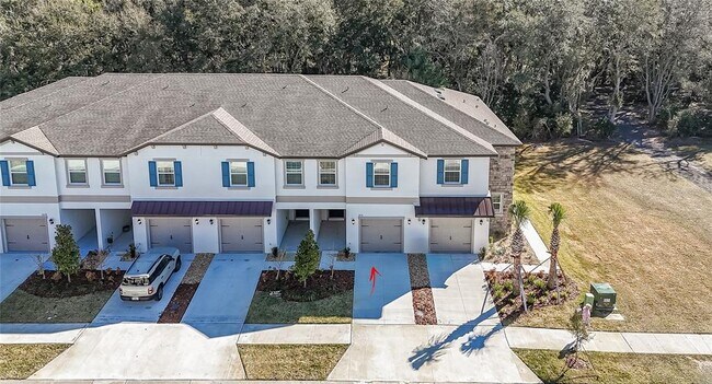 10116 Trumpet Honeysuckle Wy in Wesley Chapel, FL - Building Photo - Building Photo