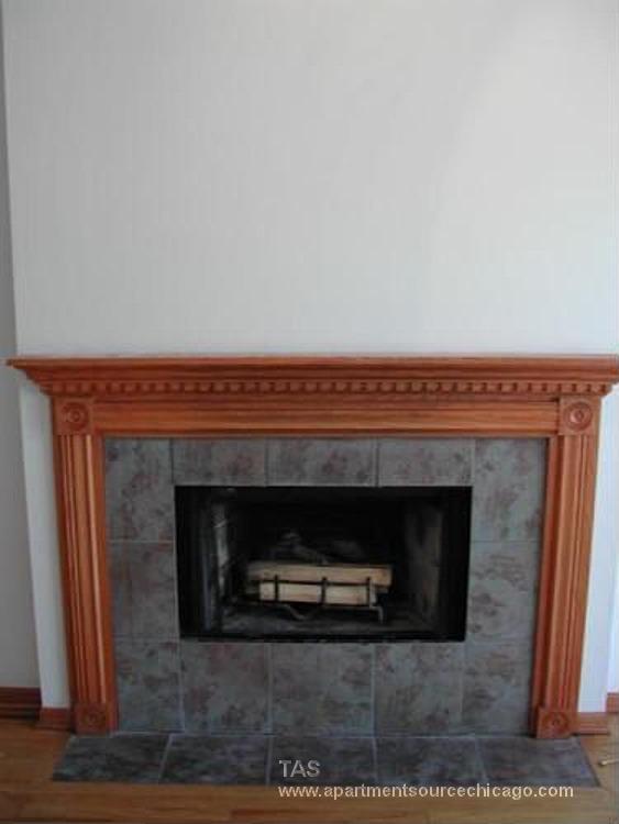 918 N Paulina St in Chicago, IL - Building Photo - Building Photo