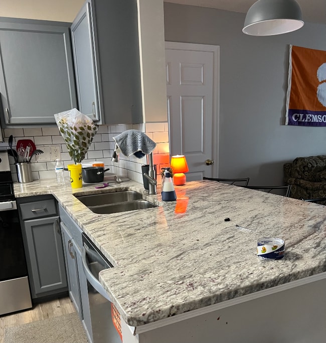 186 University Village Dr in Central, SC - Building Photo - Building Photo