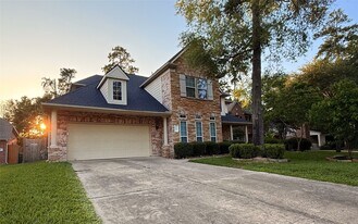 66 Fulshear Ct in The Woodlands, TX - Building Photo