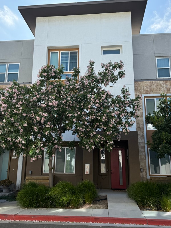property at 3979 Meridian St