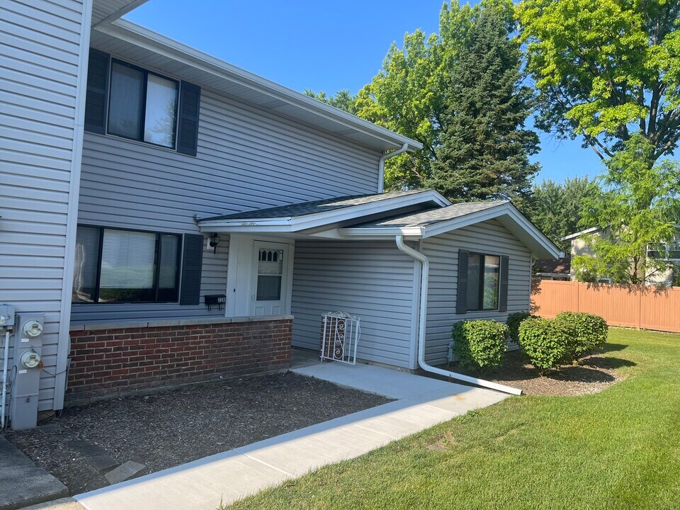 226 Patuxet Ct in Schaumburg, IL - Building Photo