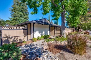 1234 Blackberry Terrace in Sunnyvale, CA - Building Photo