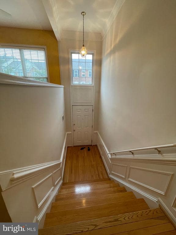property at 13133 Rose Petal Cir