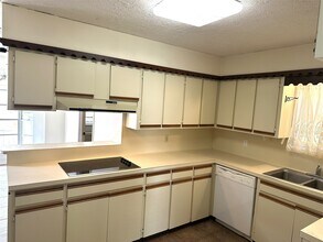 3146 Bonney Briar Dr in Missouri City, TX - Building Photo - Building Photo