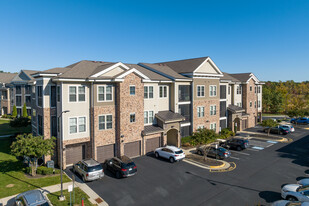 Silver Collection at Celebrate in Fredericksburg, VA - Building Photo