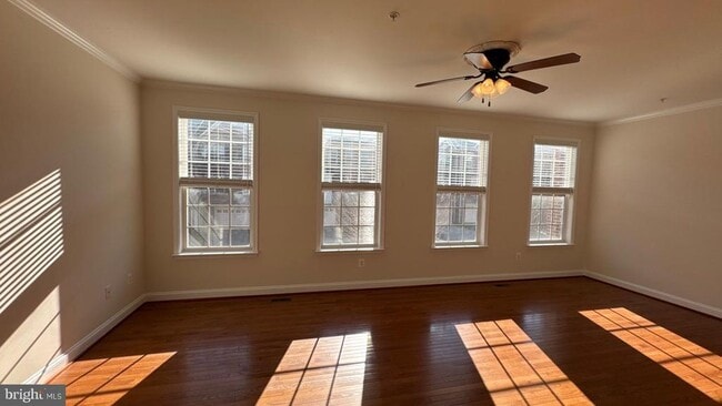 9727 June Flowers Way in Laurel, MD - Foto de edificio - Building Photo