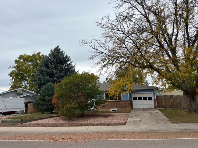 1114 Walnut St in Windsor, CO - Foto de edificio - Building Photo