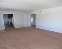 Country Squire photo'