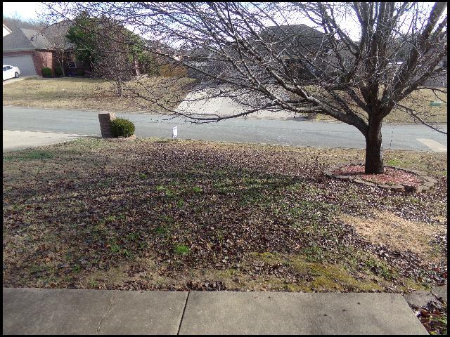 12 Lauren Cove in Cabot, AR - Building Photo - Building Photo