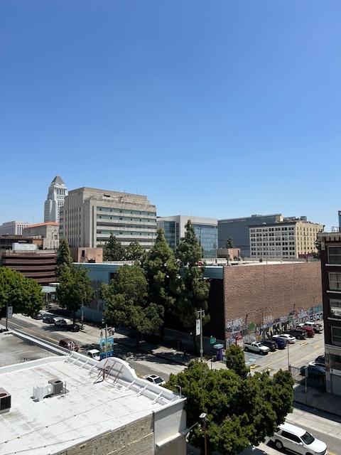 253 S Broadway in Los Angeles, CA - Foto de edificio - Building Photo