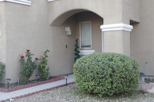 4521 Palm Mesa Dr in Las Vegas, NV - Building Photo - Building Photo