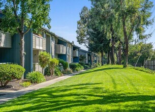 202 Calvert Dr in Cupertino, CA - Building Photo - Building Photo