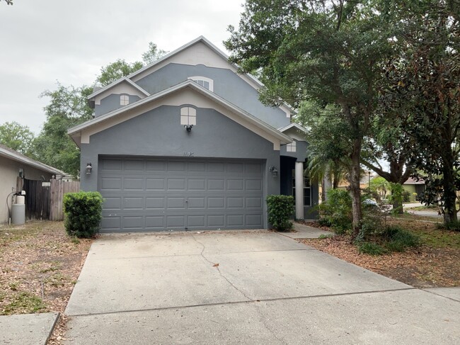 property at 11736 Mango Cross Ct