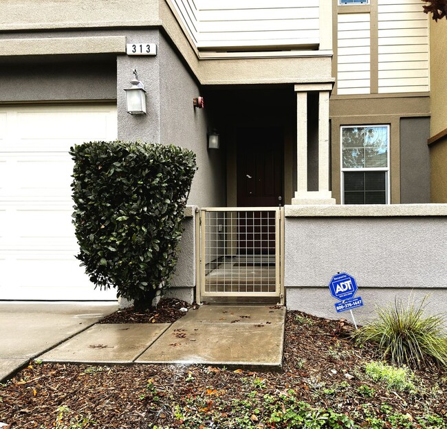 313 Jacquelyn Ln in Petaluma, CA - Building Photo - Building Photo