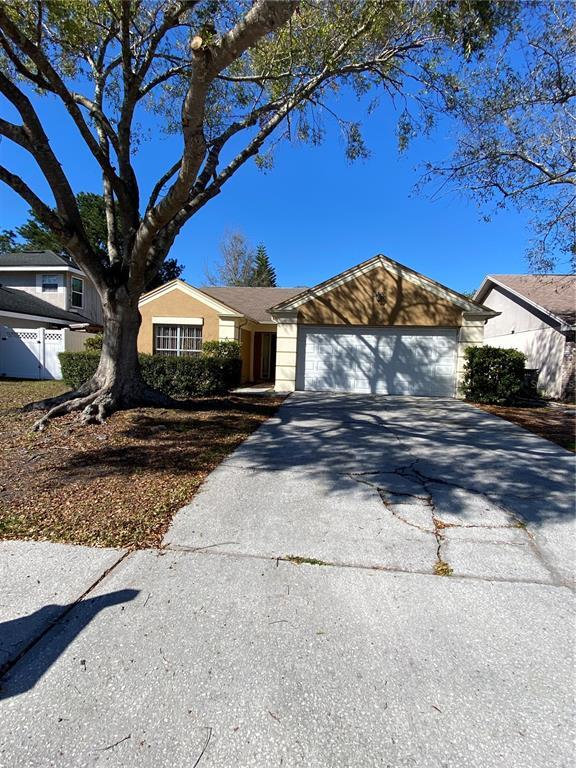 5039 Cypress Trace Dr in Tampa, FL - Building Photo - Building Photo