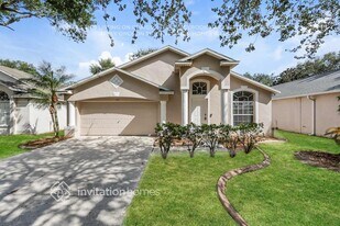 507 Somerstone Dr in Valrico, FL - Building Photo