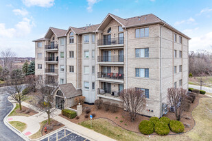 8505-8525 Woodward Ave in Downers Grove, IL - Building Photo