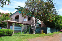 100 Wainee St in Lahaina, HI - Foto de edificio - Building Photo