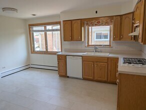 8734 Wisner St in Niles, IL - Building Photo - Building Photo