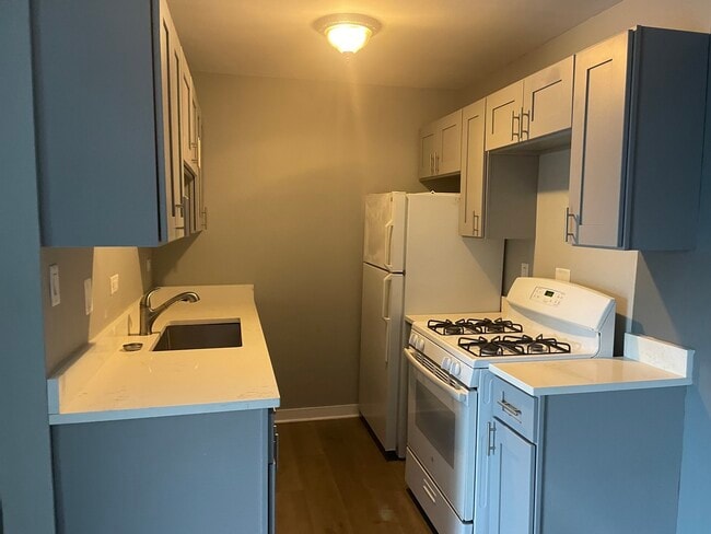 928 Jonathan Ct in Prospect Heights, IL - Building Photo - Building Photo