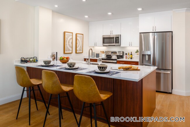 101 Asheville Rd in Brookline, MA - Building Photo - Building Photo