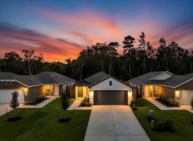 20915 San Felice Ln in New Caney, TX - Building Photo - Building Photo