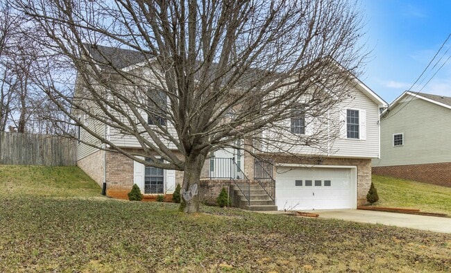 1037 Persimmon Ct in Clarksville, TN - Building Photo - Building Photo