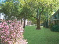 Landscaping - Kingswood Apartamentos in Mobile, Alabama