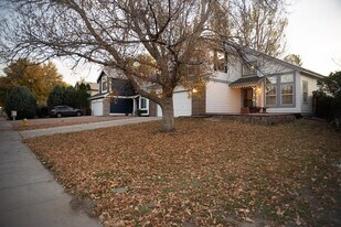 4011 Shining Star Dr in Colorado Springs, CO - Building Photo