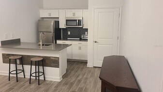 11254 Lore Wy in Orlando, FL - Building Photo