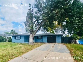 10228 Amadeus Dr in Port Richey, FL - Building Photo