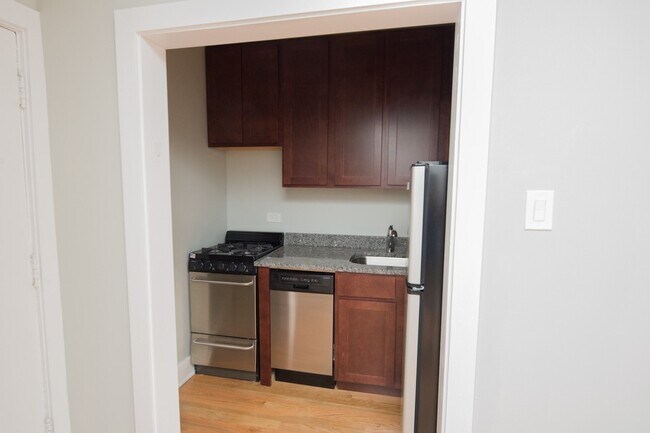 1167 N Dearborn St in Chicago, IL - Building Photo - Building Photo