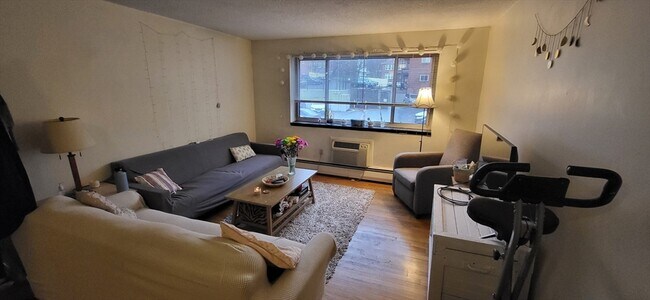 239 Kelton St in Boston, MA - Building Photo - Building Photo
