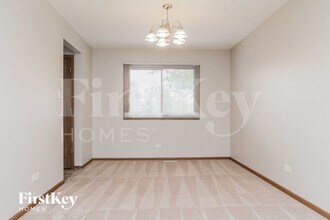 753 Willow Rd in Matteson, IL - Foto de edificio - Building Photo