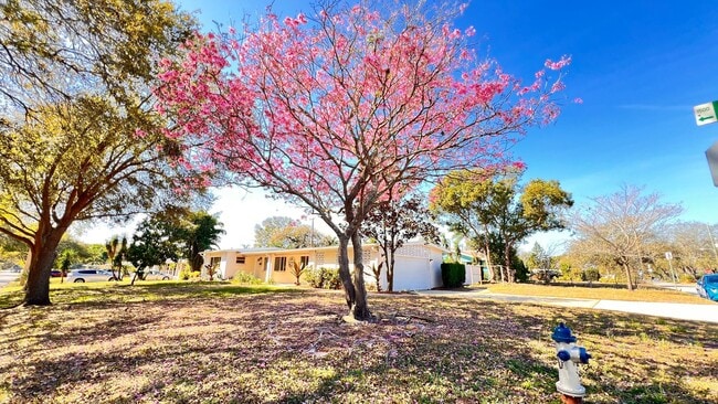 1516 Dove Dr in Orlando, FL - Building Photo - Building Photo