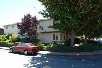 853 Maryann Dr in Santa Clara, CA - Building Photo - Building Photo