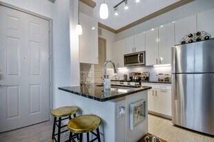 Park at Bayside in Rowlett, TX - Building Photo