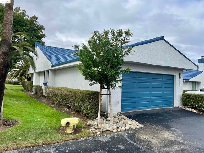 5796 Cutter Loop in Discovery Bay, CA - Building Photo - Building Photo