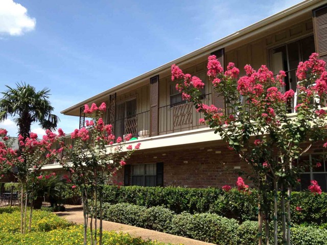 Meyer Oaks in Houston, TX - Foto de edificio - Building Photo