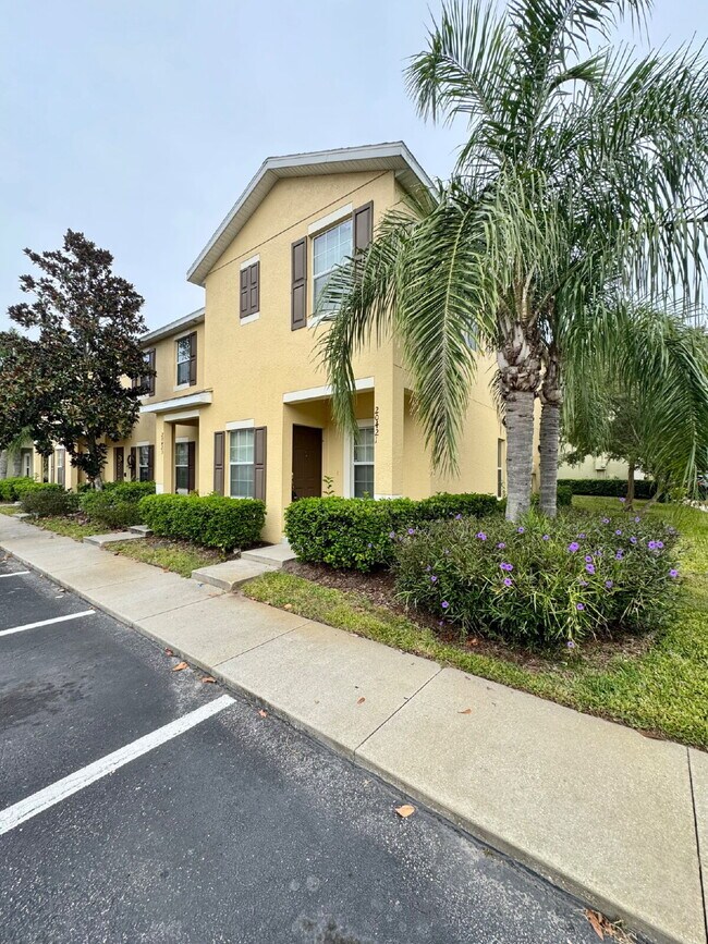 20421 Needletree Dr in Tampa, FL - Building Photo - Building Photo