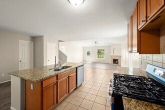 21618 Borah Peak Way in Katy, TX - Building Photo - Building Photo