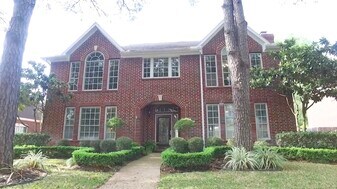 16910 Ascot Meadow Dr in Sugar Land, TX - Building Photo