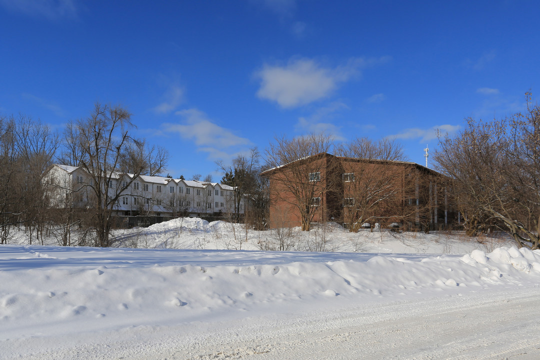 343 Mill St in Kitchener, ON - Building Photo