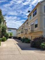 326 Malone St in Houston, TX - Building Photo