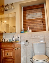 46 Park Vale Ave, Unit 1 in Boston, MA - Building Photo - Building Photo