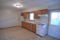 255 W Elm St, Unit #3 in Coal City, IL - Building Photo - Building Photo